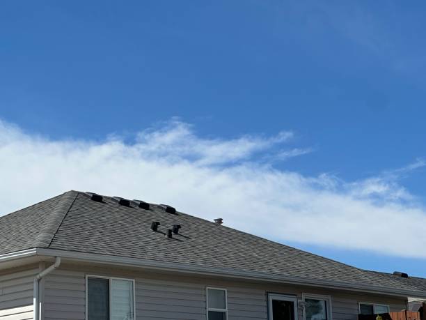 Best Storm Damage Roof Repair  in Pine Grove Mills, PA
